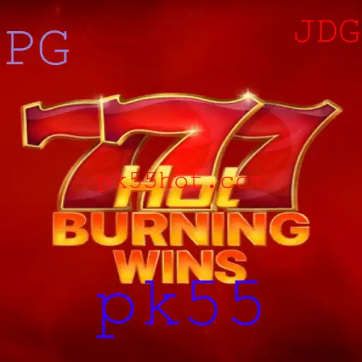 Descubra o Fascinante Mundo de HotBurningWins: Apostas e Entretenimento