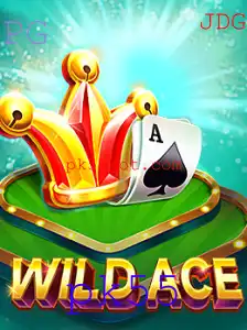 Explorando o Empolgante Mundo de WildAce: Uma Introdução Completa